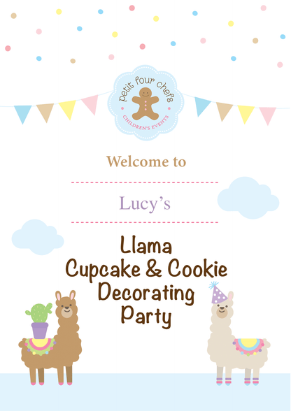 Llama  Bake & Decorate Party Box